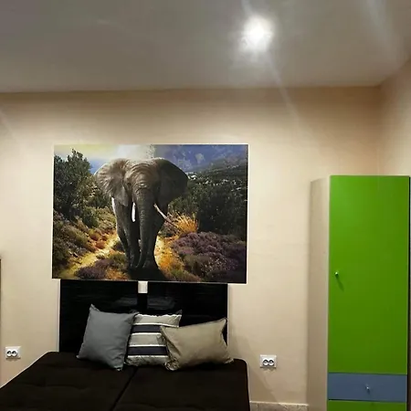 миели Apartament